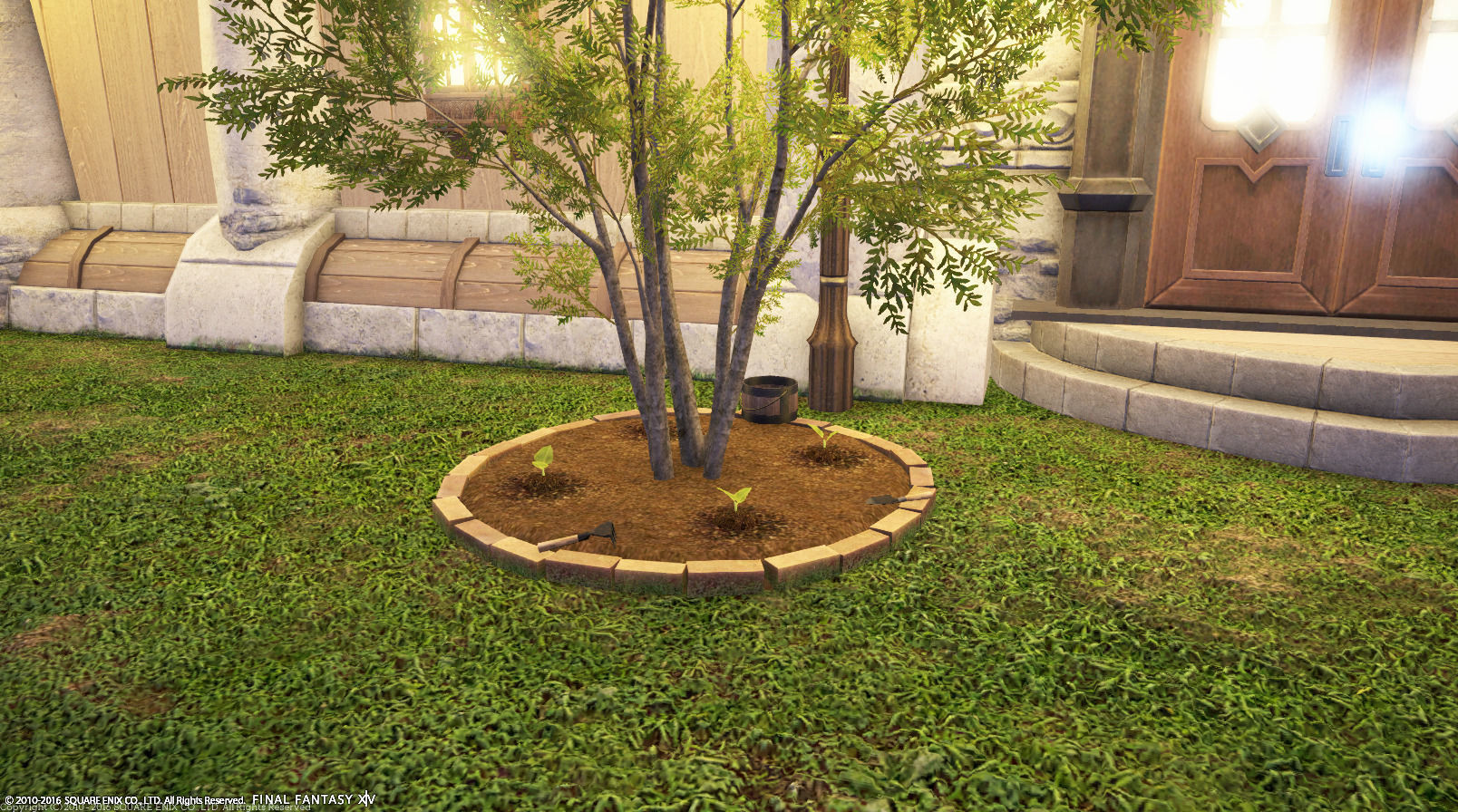 玄関前のお洒落な樹木 Housing Snap